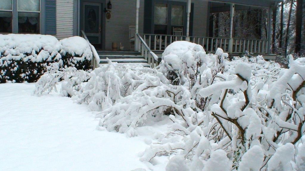 DSC01710.JPG