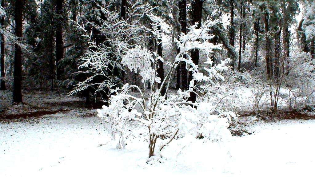 DSC01713.JPG