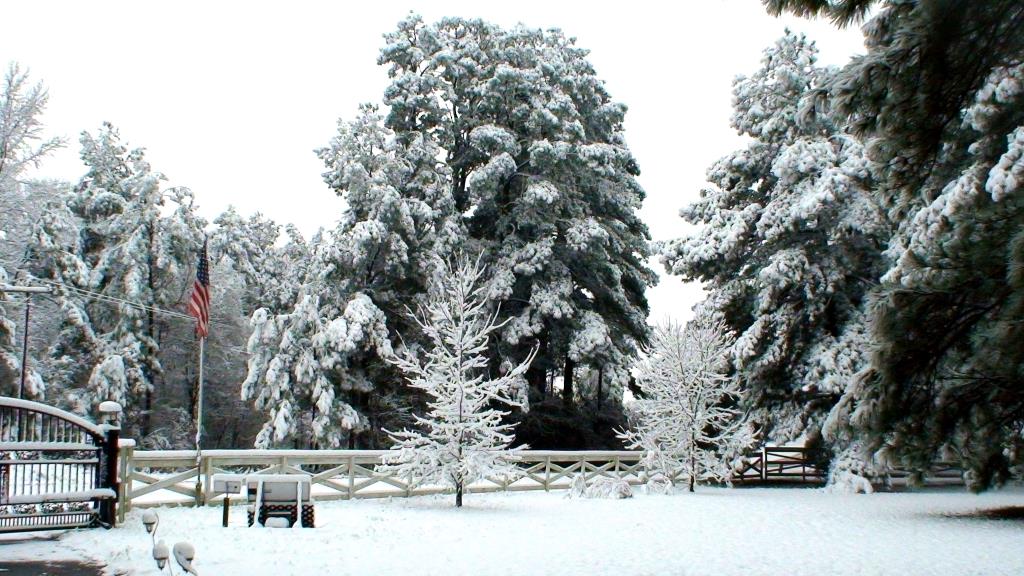 DSC01716.JPG