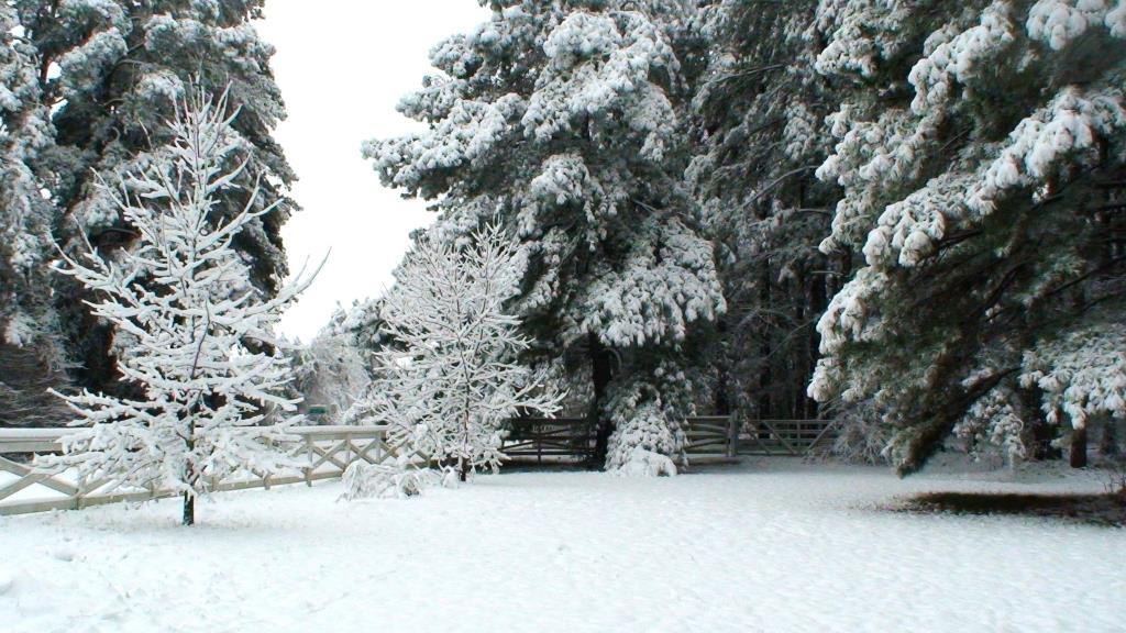 DSC01717.JPG