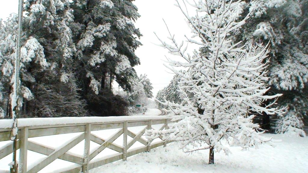 DSC01719ed.JPG