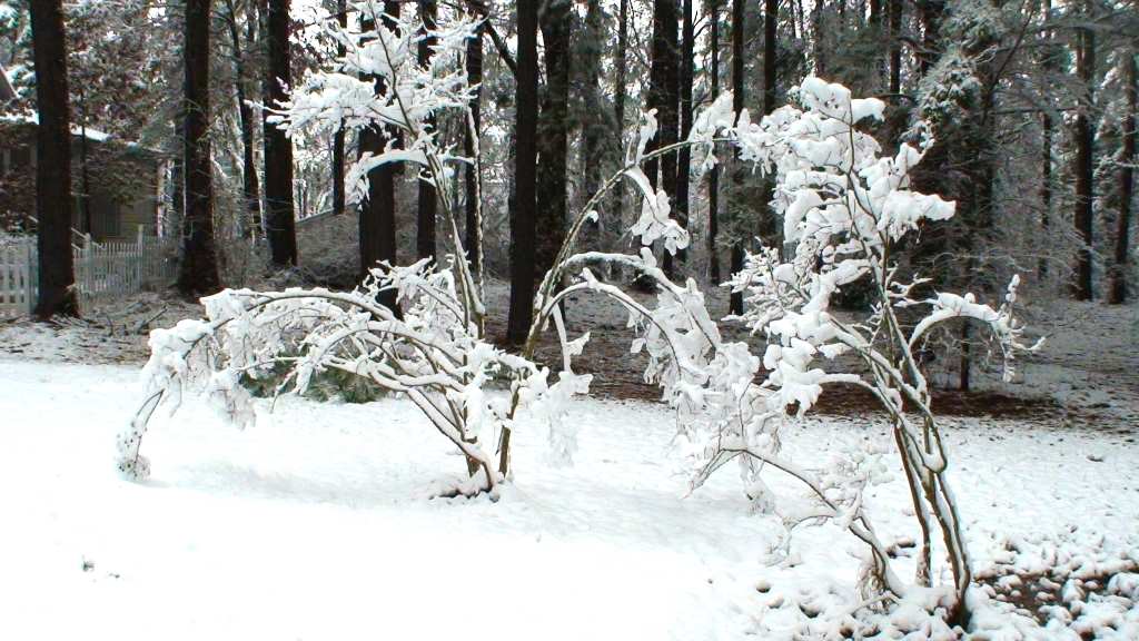 DSC01721.JPG