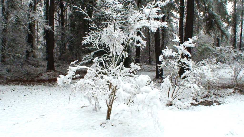 DSC01726.JPG