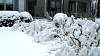 DSC01710.JPG