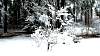DSC01713.JPG