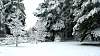 DSC01717.JPG