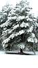 DSC01718.JPG
