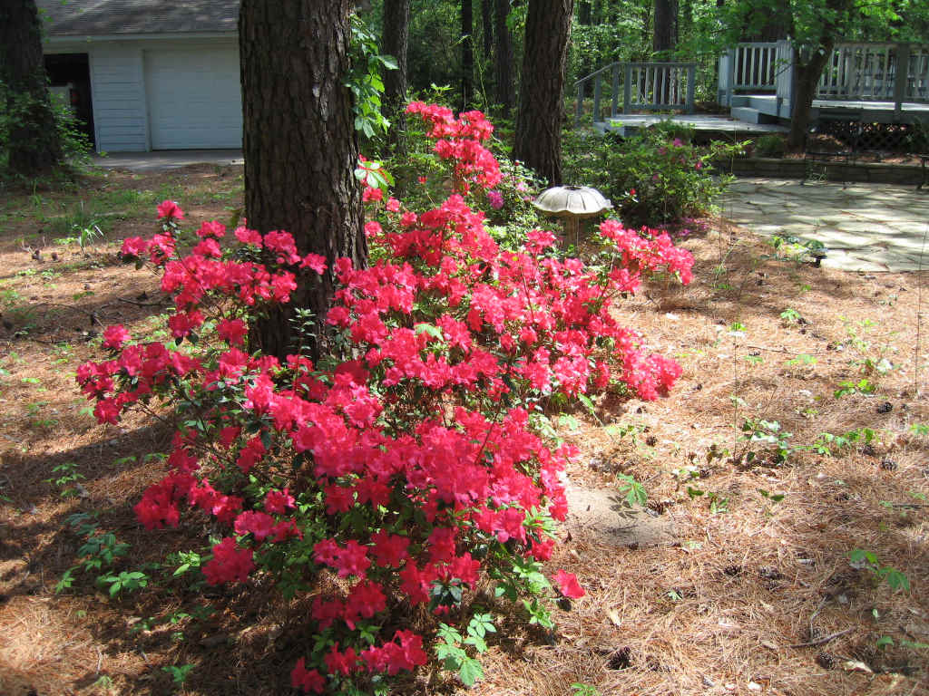 024red.jpg